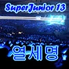 Super Junior ONLY 13