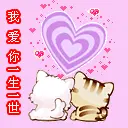 kitty