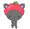 kitty