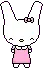 bunny 