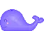 whale