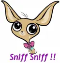 SNIFF SNIFF
