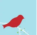 Bad Bird Red