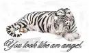 WHITE TIGER