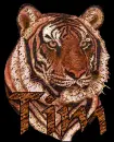tim