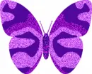Purple Butterfly