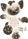 timmy jr