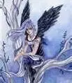 fairy