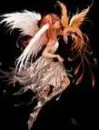 fairy 