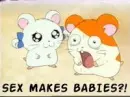 hamtaro