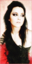 amy lee 