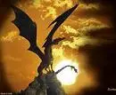 dark dragon