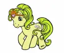 Little Pony