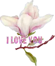 lv4