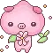pig