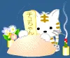 waaahhh -cat