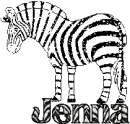 jennazebra