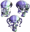 skulls