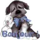 bonjour!-hello!