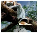 woman on tree