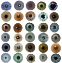 Iris's