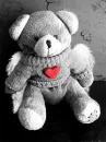 teddy bear love