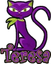 Teresa Purple Cat 