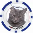 blue poker chip timmy