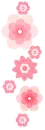 pink flowers