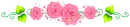 pink roses