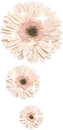 cute flowers