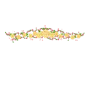 yellow flowers