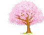pink tree
