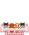 baby dogs