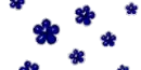 backgrounds flowers