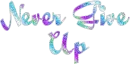 never give up