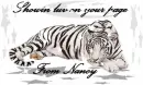 showin luv on your page,from nanc