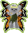 kitty butterfly
