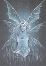 night fairy
