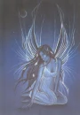 night fairy
