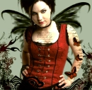 amy lee 
