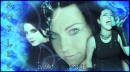 amy lee 