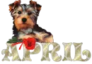 April - Glitter Diamond Cutie Puppy with Rose