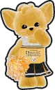Pittsburgh Steeler cheerleader kitty