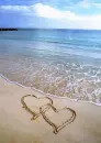 hearts