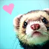 ferrett