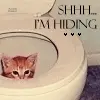 kitten in toilet