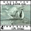 penguin lmao