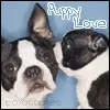 puppy love