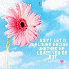 pink daisy